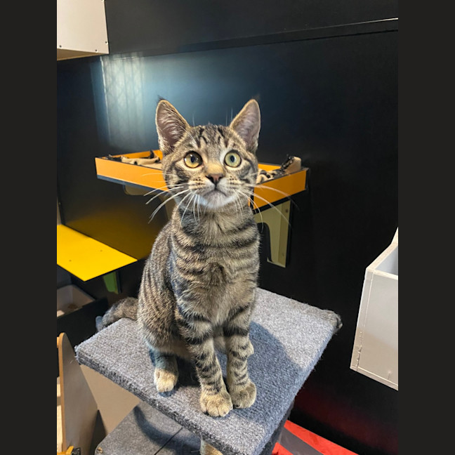 Photo of Simon