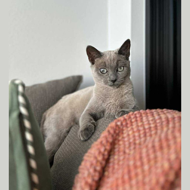 Photo of Jazzi 