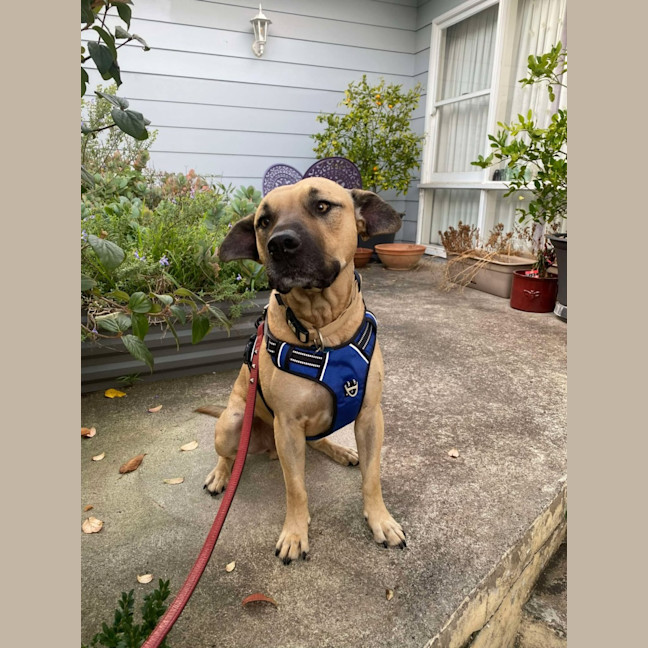 Photo of Turbo 