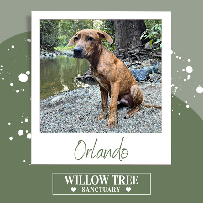 Photo of Orlando