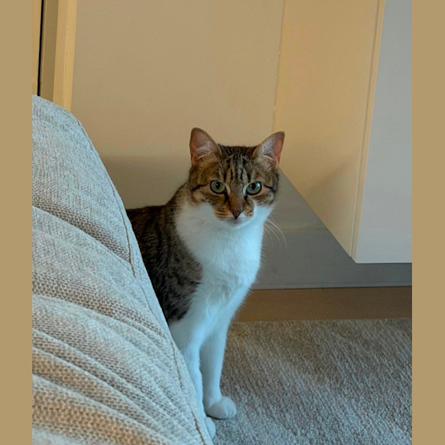 Photo of Cora 