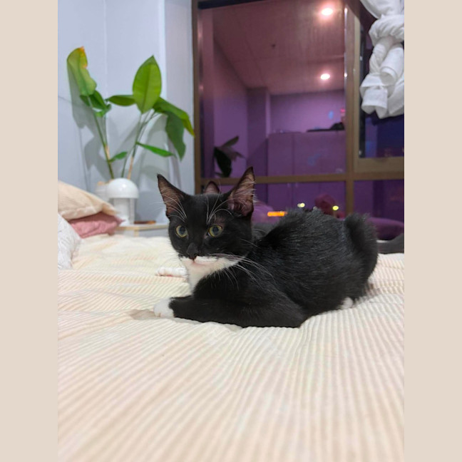 Photo of Lucas