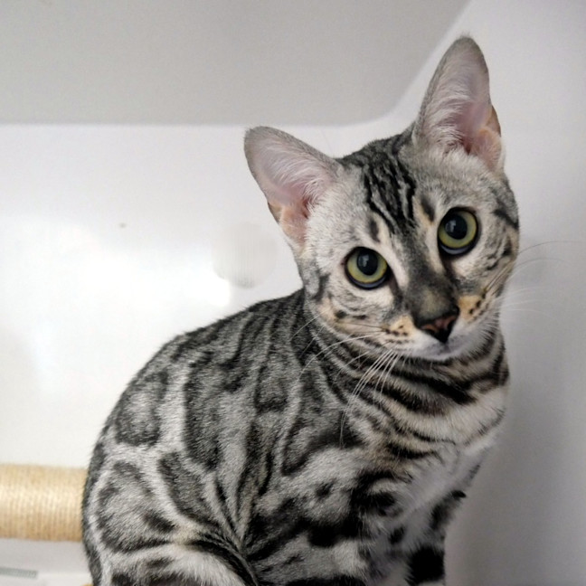 Photo of Minnie Suk013538