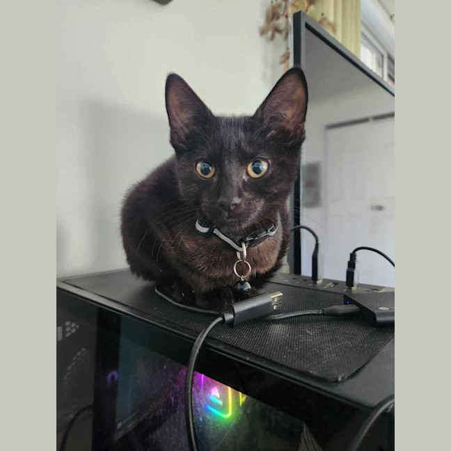 Photo of Poe