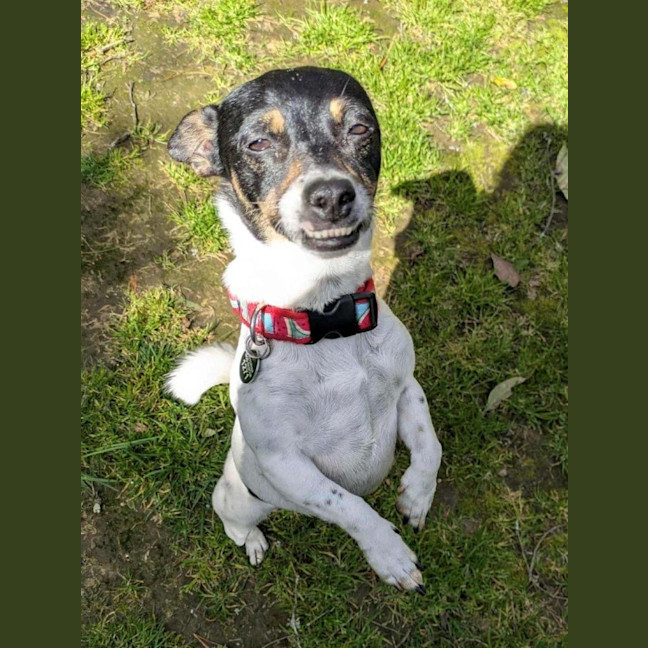 Photo of Mabel Uffelman  
