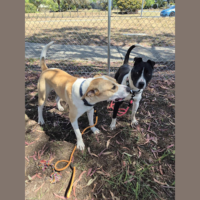 Photo of Butters! 🧈💛