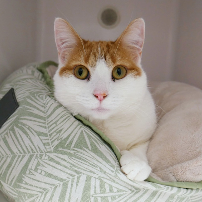 Photo of Tilly Rsta014308