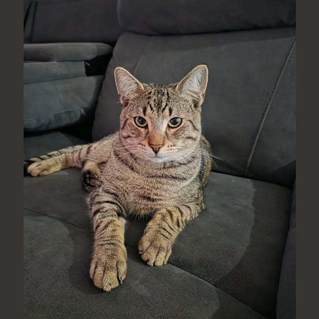 Photo of Chase