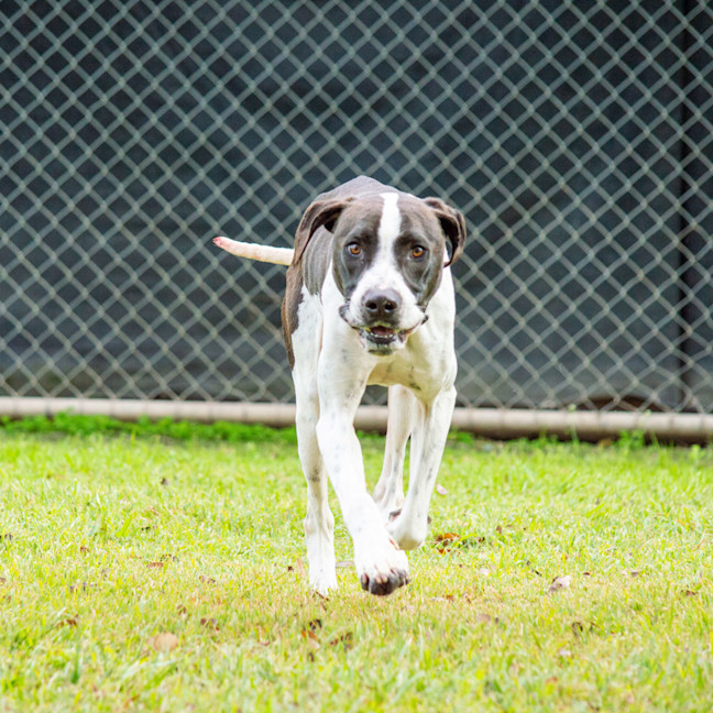 Photo of Buddy