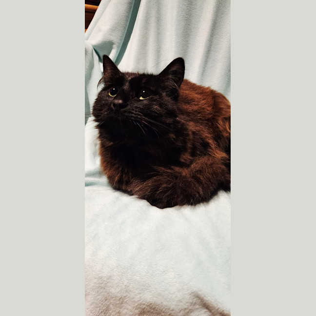 Photo of Baron