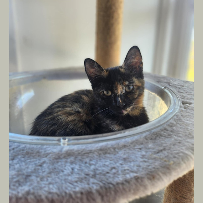 Photo of Milo Mudcake