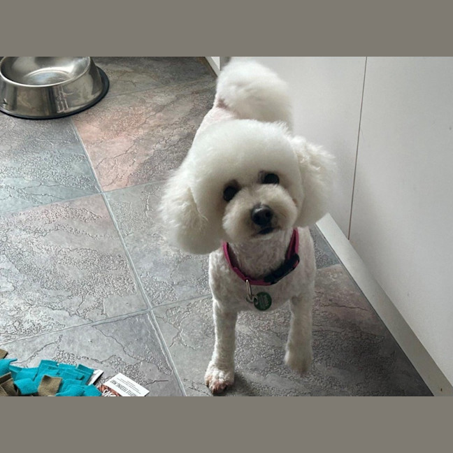 Photo of Oscar And Tilly Tamblyn