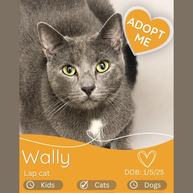 Photo of Wally