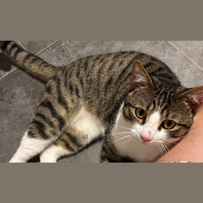 Photo of Quinny