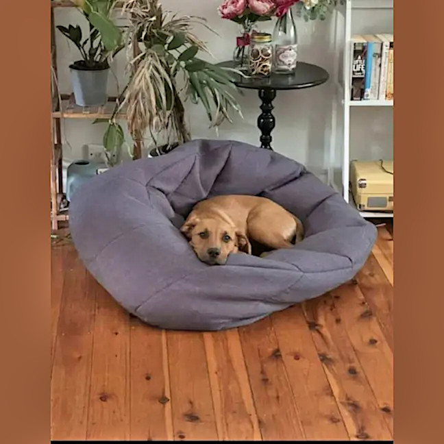 Photo of Wally