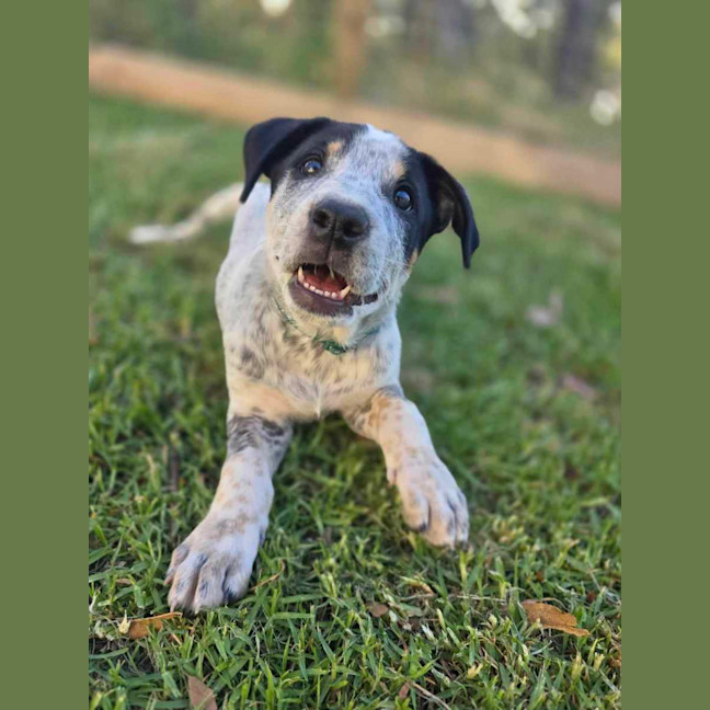 Photo of Tarrant Hightopp