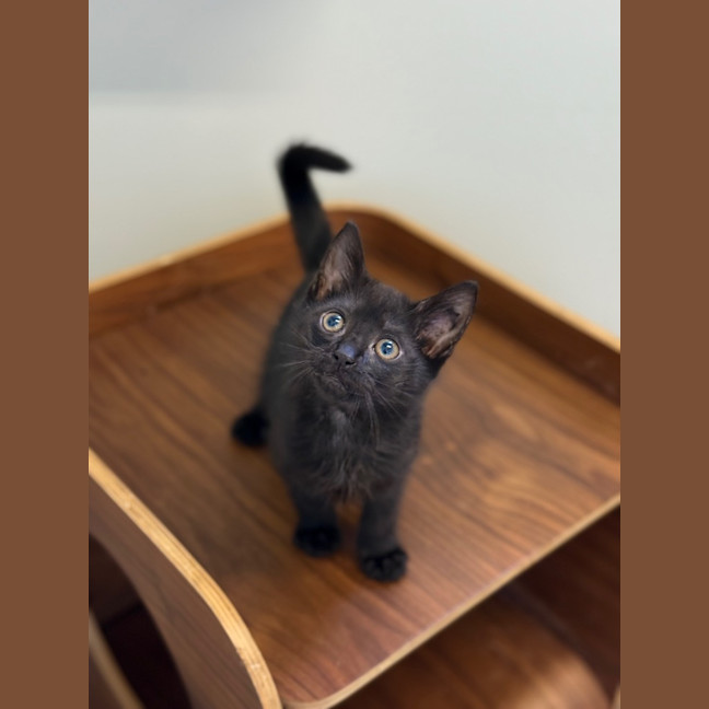 Photo of Berry