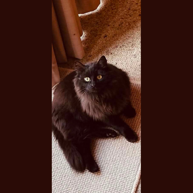 Photo of Dee