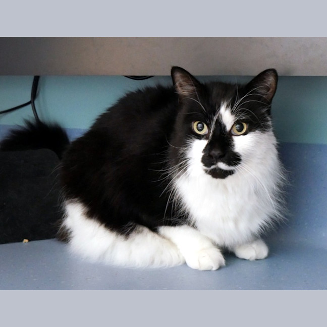 Photo of Charlie Sta013211