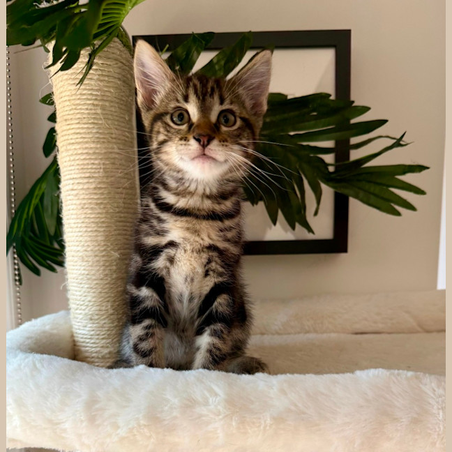 Photo of Spike