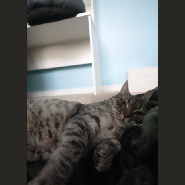 Photo of Kiara