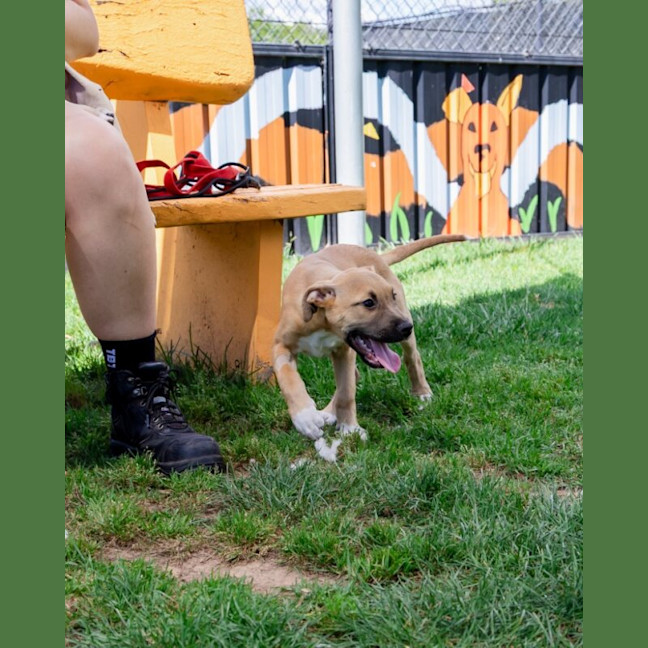 Photo of Jinx