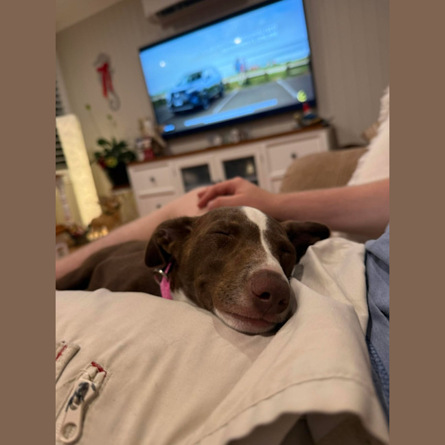 Photo of Marnie