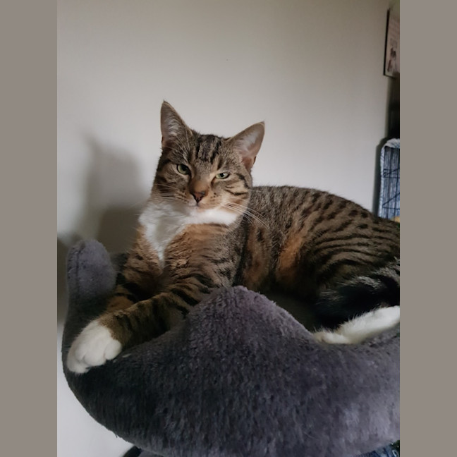 Photo of Luna