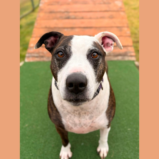 Photo of Maggie