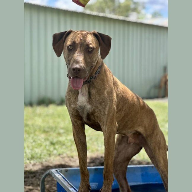 Photo of Jax