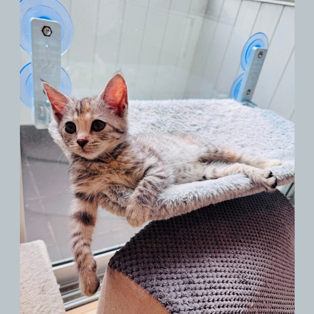 Photo of Sparkles ✨