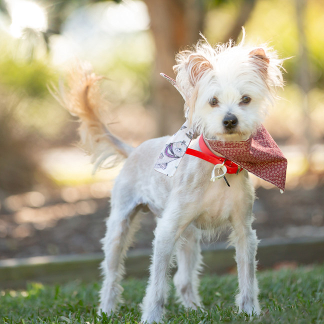 Photo of Jack Sprout