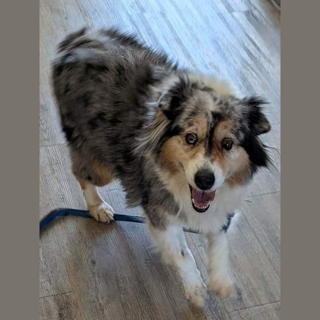 Photo of Maisie