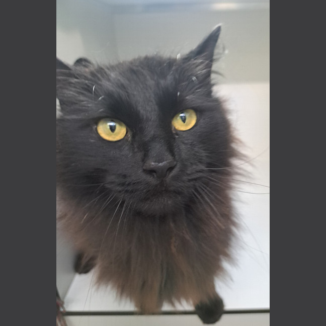 Photo of Stormy