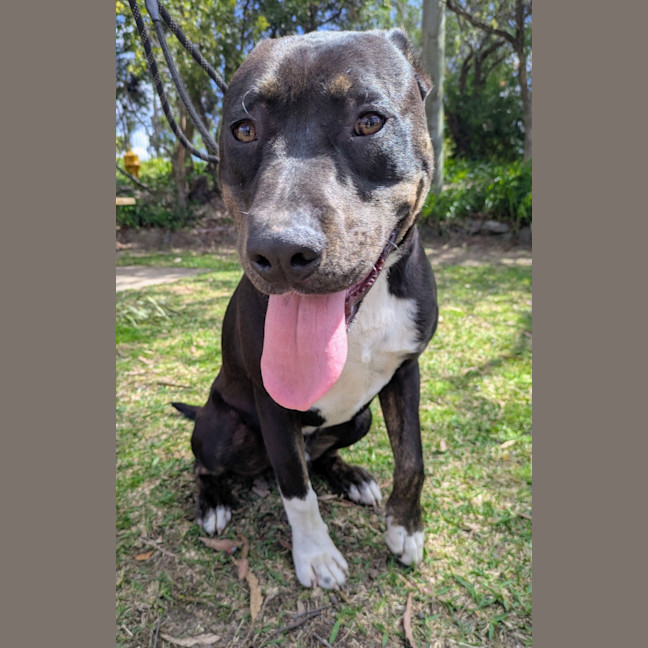 Photo of Bilbo
