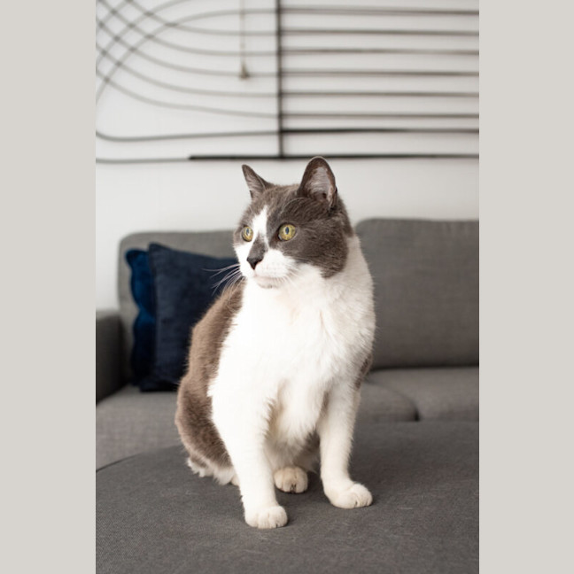 Photo of Benny