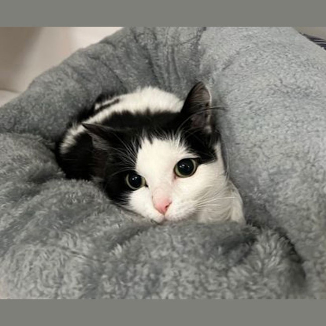 Photo of Wednesday