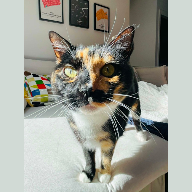 Photo of Aggie