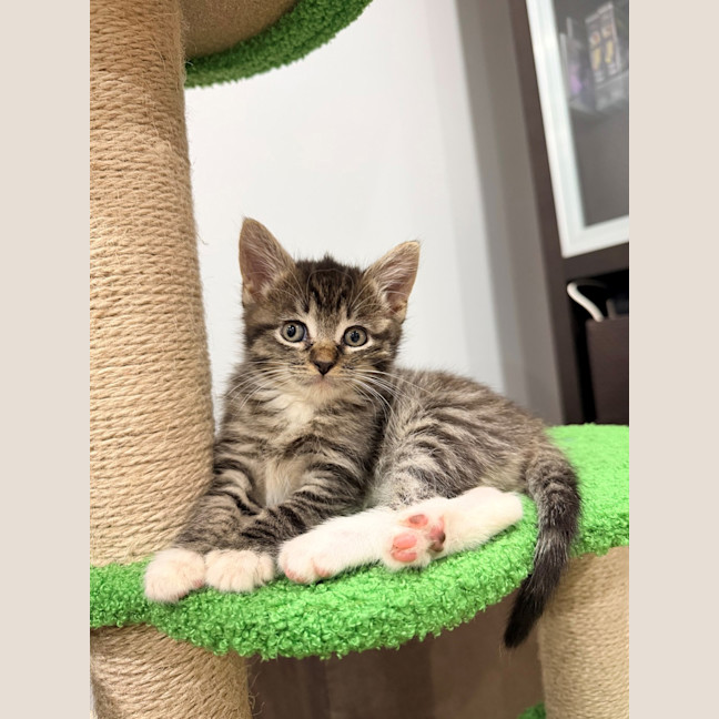 Photo of Minnie