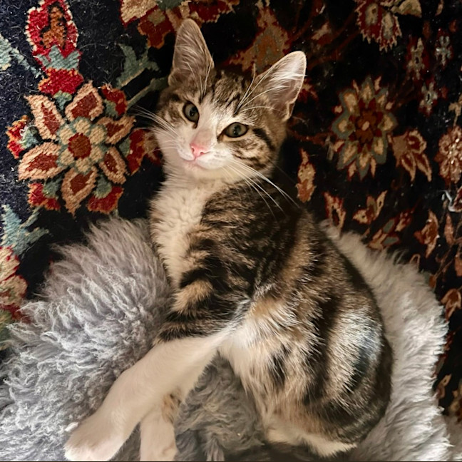 Photo of Tobias