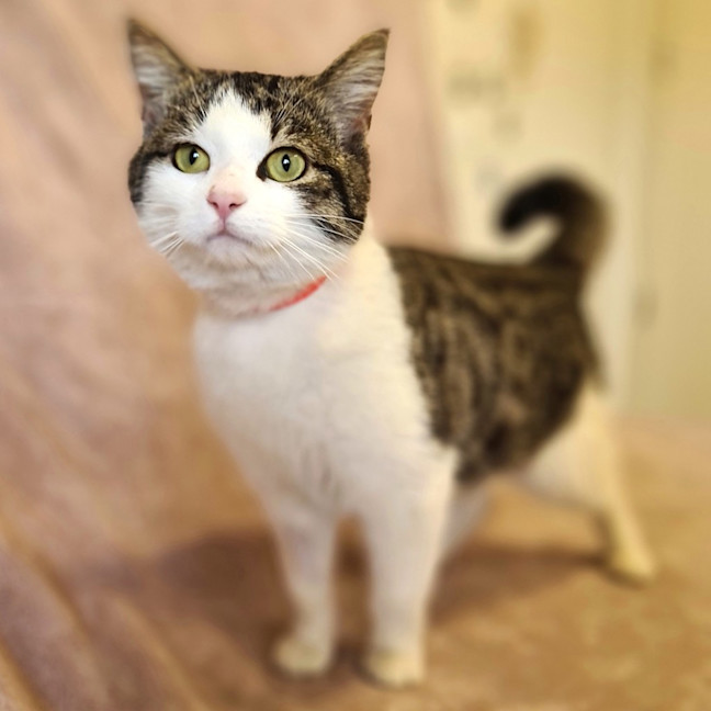 Photo of Chloe