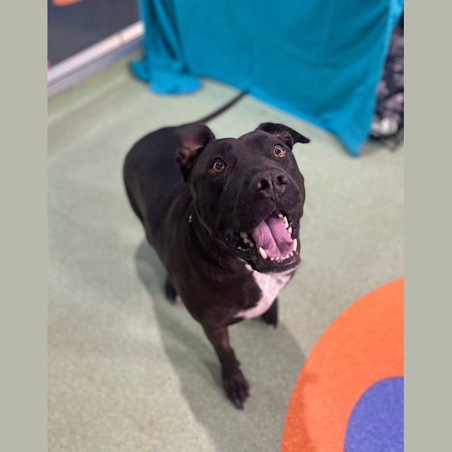 Photo of Tank