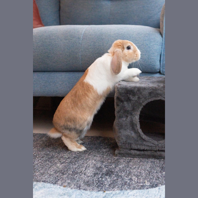 Photo of Ava