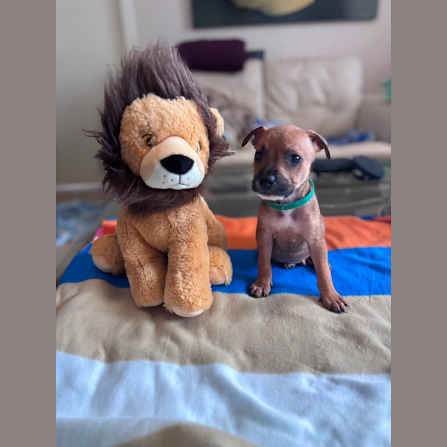 Photo of Charlie