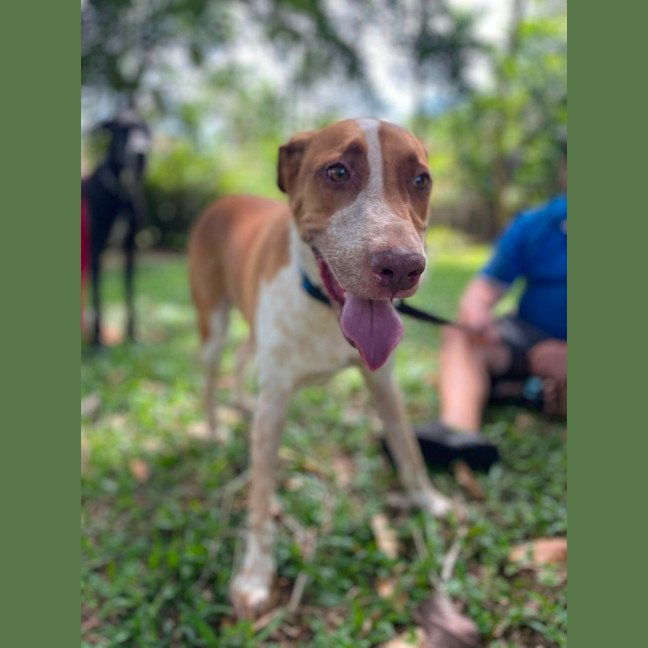 Photo of Duke