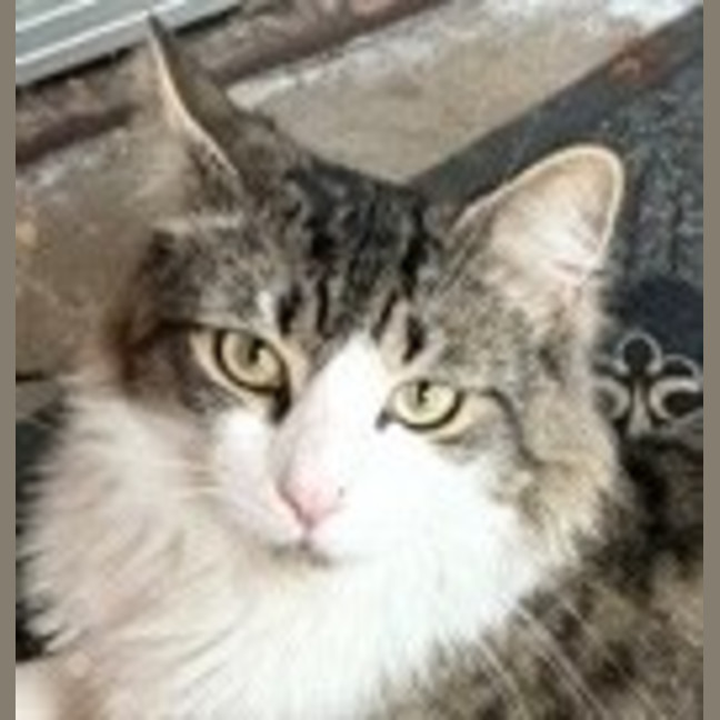 Photo of William