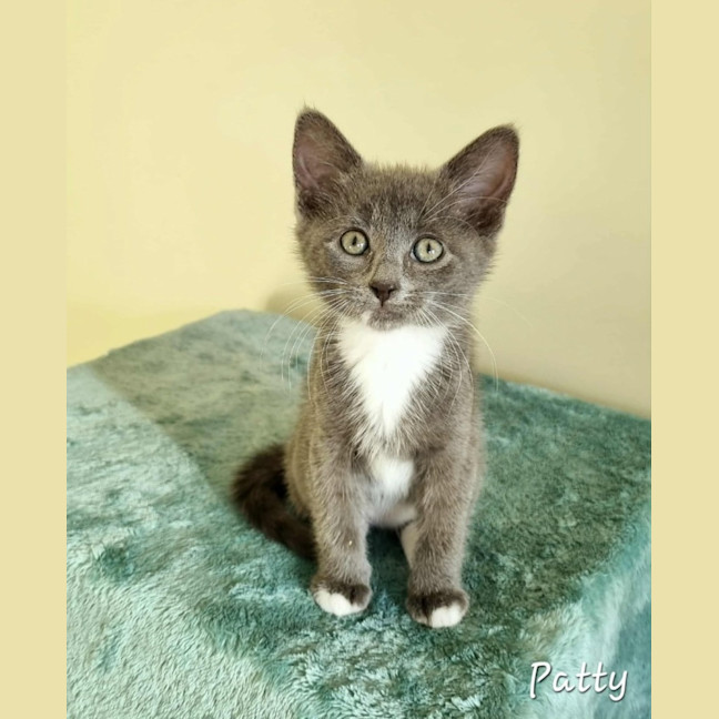 Photo of Patty