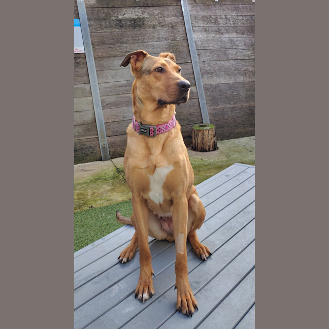 Photo of Narla