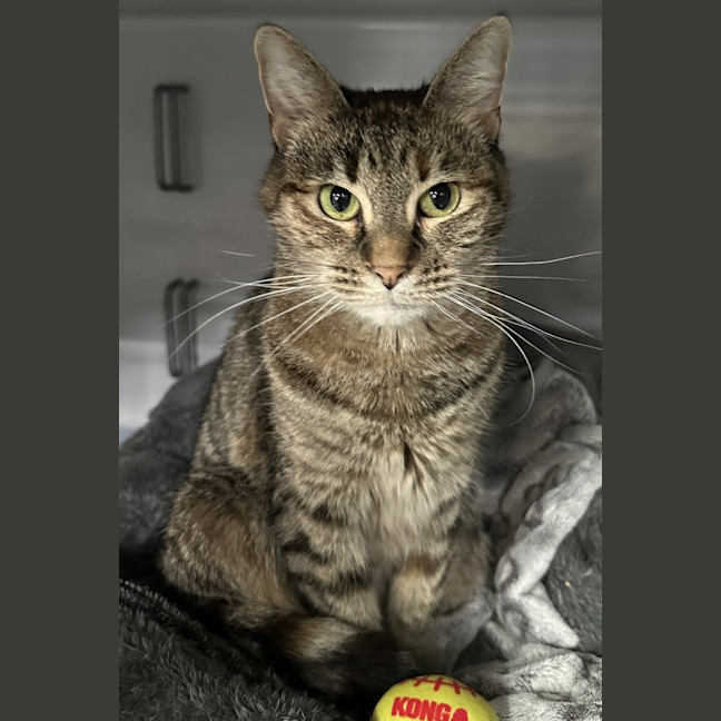 Photo of Delilah 