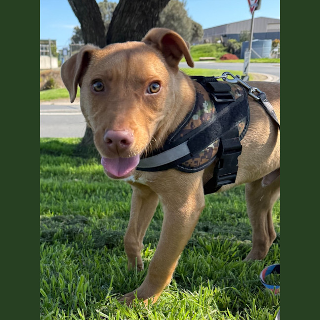 Photo of Benny